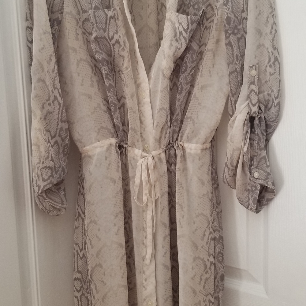 Sheer dress